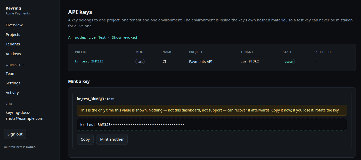 The reveal panel after minting: the key, a Copy button and a Mint another button. The value is masked in this screenshot.